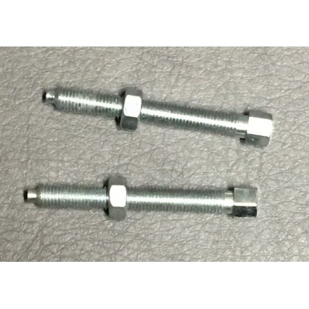 Chain tensioner adjuster screws