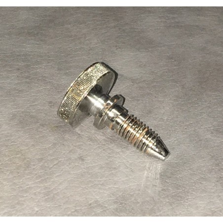 Terrot triangular toolbox screw