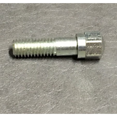 Carburettor flange screw