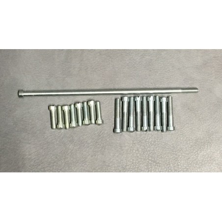 Crankcase screw set